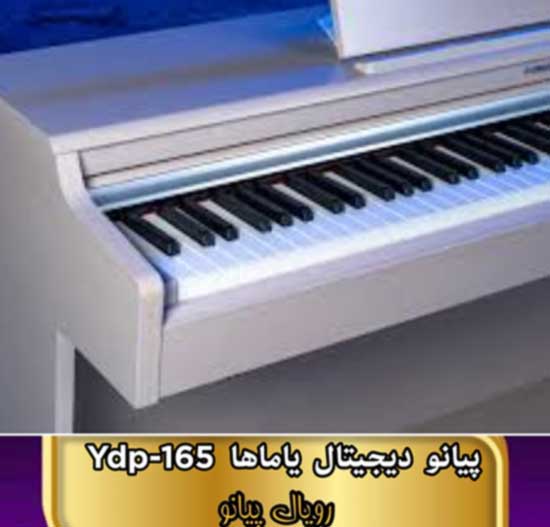 ydp-165