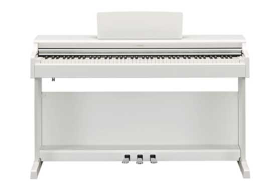 ydp-165
